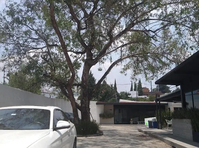 Couette-café Casa Bonsai Mexico